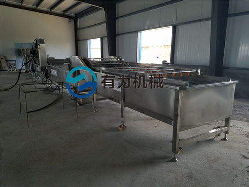 諸城有為公司 深耕蘋(píng)果清洗設(shè)備領(lǐng)域，服務(wù)海南與家用市場(chǎng)